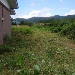 草刈りを致します