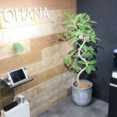居宅介護支援事業所の事務スタッフ募集／瀬谷区でのお仕事／週20時間以上の勤務／未経験者歓迎／子育て中の方が多数活躍中／土・日・祝休み／昇給有の画像