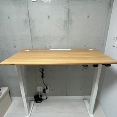 flexispot  家具 オフィス用家具 机