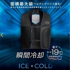 ワークマン　ペルチェベスト　