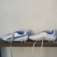 サッカースパイク　22cm プーマの画像