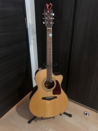 [限定割引]S.yairi エレアコ ギター 弦楽器 アコースティック ギター