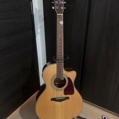 [限定割引]S.yairi エレアコ ギター 弦楽器 アコーステ...