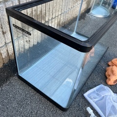 GEXガラス水槽　60cmの画像