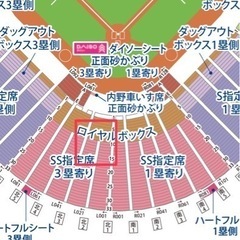 カープチケット　SS指定ペア　6月26日