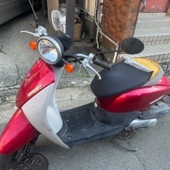 Honda today AF67