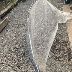 投網　　お取引は決まってますの画像