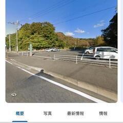 人気品種☆国産グッピー　メガドーサル系ブルーグラス、レッドグラス４匹計２ペア☆優良個体格安出品!!オマケたくさんの画像