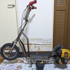 日本ライフ社　パワースケーター（4サイクル）