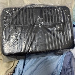 2点キャリーバッグの画像