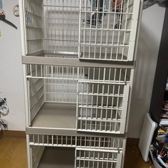 キャットゲージ