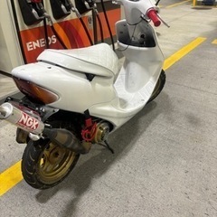 ライブディオAF34の画像