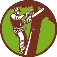 草刈り、伐採、山林、竹林、庭木