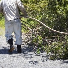 日払いOK！即収入！短期間週1からでもOK！体を動かして健康的に！！