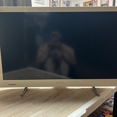 家電 テレビ 液晶テレビ