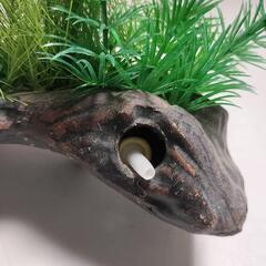 水槽内の置物の画像