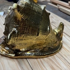 貝殻アンティーク　の画像