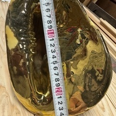 貝殻アンティーク　の画像