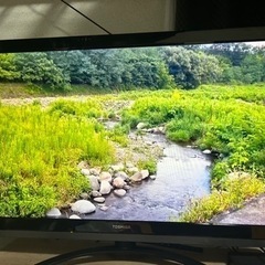 家電 テレビ 液晶テレビ
