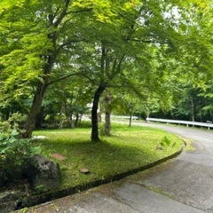 ５２度の源泉温泉が出る別荘用地（格安） - 那須塩原市