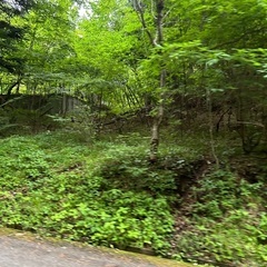 ５２度の源泉温泉が出る別荘用地（格安） - 不動産