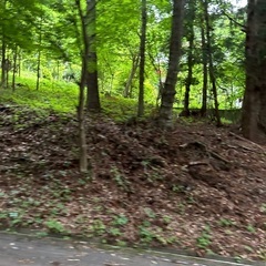 ５２度の源泉温泉が出る別荘用地（格安） − 栃木県