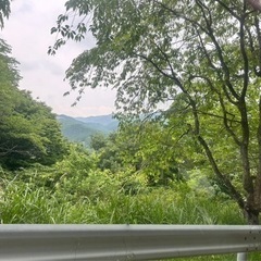 温泉 - 日光市