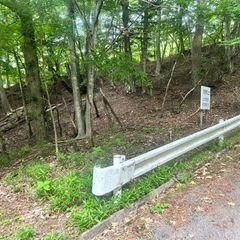 温泉 - 不動産