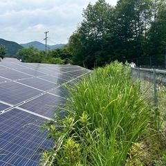 草刈り　お手伝いできます