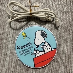 家電 生活家電 掃除機