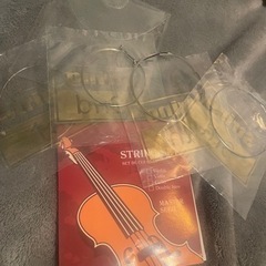 【取引中】ハルシュタット エレキバイオリン 付属品有りの画像