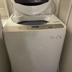 家電 生活家電 洗濯機