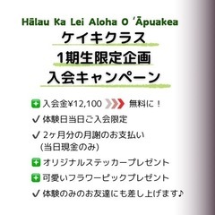 子供のフラダンス♡渋谷校・第1期生募集の画像