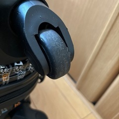 アツキオオニシ　キャリーケースの画像