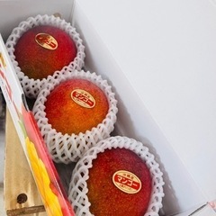 アップマンゴー１kg 贈答用の画像