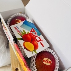 アップマンゴー１kg 贈答用の画像