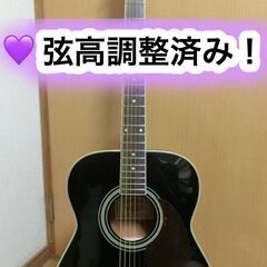 ❤️弦高調整済！「Gopher ゴフェル I110SX 」サウンドピラー内蔵！
