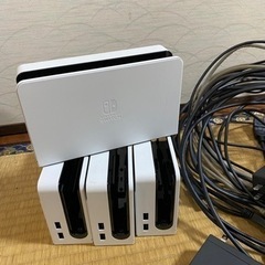 ニンテンドースイッチ　ドッグセット　大分県佐伯市