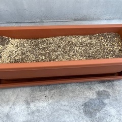 6/30お取引出来る方へ　プランターセットの画像