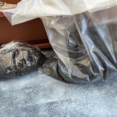 6/30お取引出来る方へ　プランターセットの画像