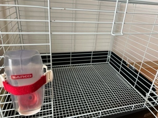 【決まりました】モルモットゲージ
