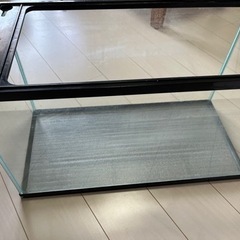 60㎝水槽　おまけあり