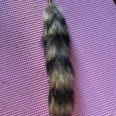 なめし体験の画像