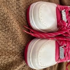 vans スニーカーの画像
