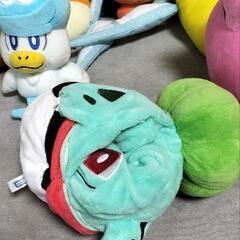 ポケモンぬいぐるみセットの画像