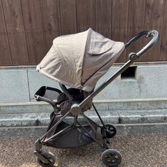 【今月末まで限定価格！】サイベックス