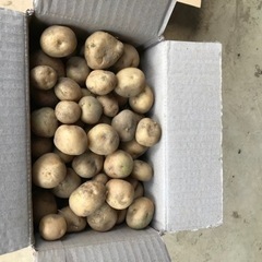 新じゃが3kg　男爵　規格外3kg