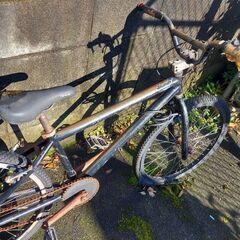 自転車 BMX系
