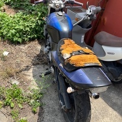 HONDA MC23 書類ありの画像
