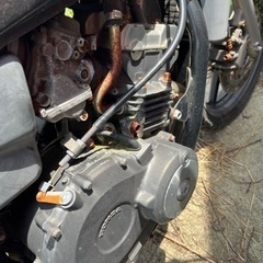 HONDA MC23 書類ありの画像